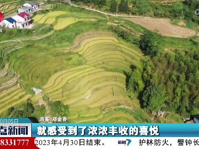 整点新闻20221005 16:00