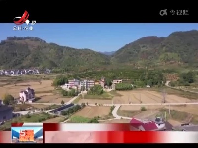 【抓落实 强服务 解民忧】上饶广信区：立足资源优势 发展特色农业产业
