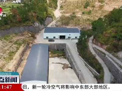 兴国：“金果”满枝头 万亩油茶喜丰收