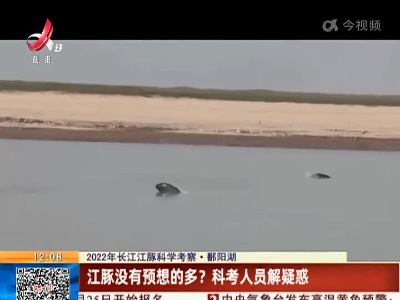 【2022年长江江豚科学考察】鄱阳湖：江豚没有预想的多？ 科考人员解疑惑