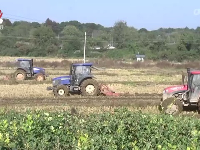 秋冬种陆续展开 我省各地扎实举措力促油菜扩面