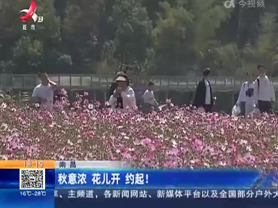 南昌：秋意浓 花儿开 约起！