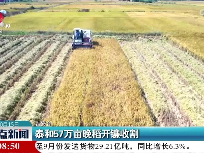 泰和57万亩晚稻开镰收割