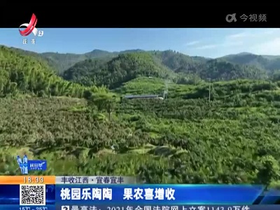 【丰收江西】宜春宜丰：桃园乐陶陶 果农喜增收