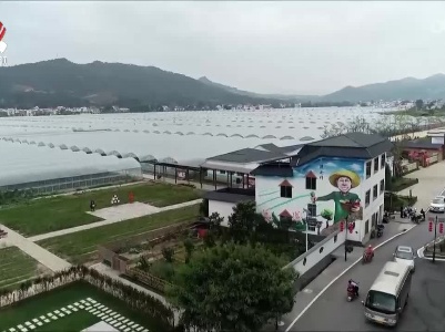 我省四地入选2022年国家乡村振兴示范县创建名单