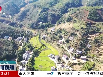 【乡村振兴进行时】喜悦！ 采摘油茶果 收割大禾谷