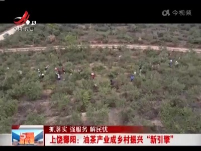 【抓落实 强服务 解民忧】上饶鄱阳：油茶产业成乡村振兴“新引擎”