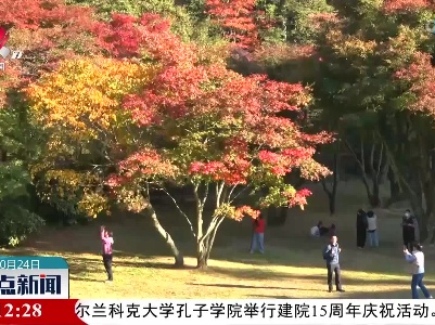 庐山植物园：秋色斑斓百色园