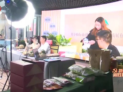 【见证履职】全面推进乡村振兴