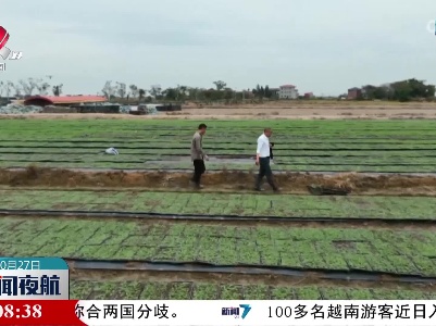 【乡村振兴进行时】给力！ 政策+科技 “冬闲田”变“增收田”