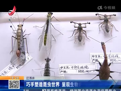江苏南通：巧手塑造昆虫世界 呈现生物多样性之美