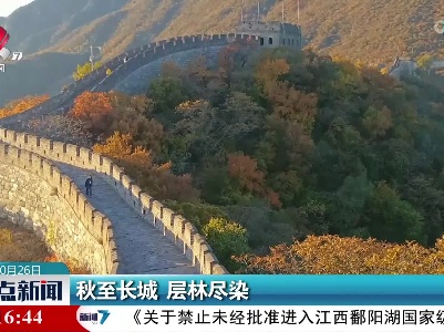 秋至长城 层林尽染