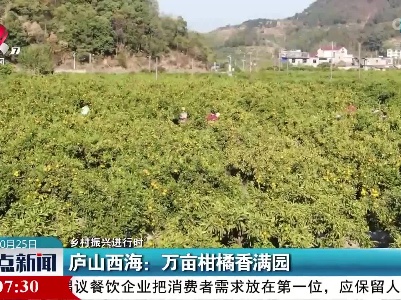 【乡村振兴进行时】庐山西海：万亩柑橘香满园