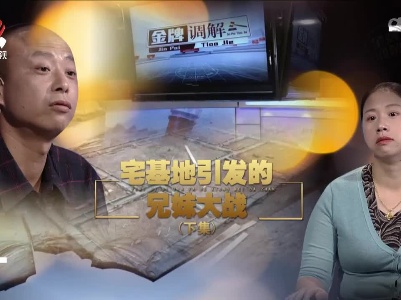 金牌调解20221010 宅基地引发的兄妹大战（下）