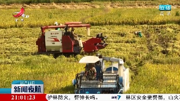 新闻夜航20221011