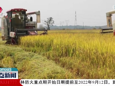 整点新闻20221008 10:00