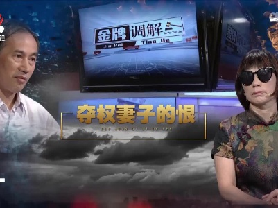 金牌调解20221031 夺权妻子的恨