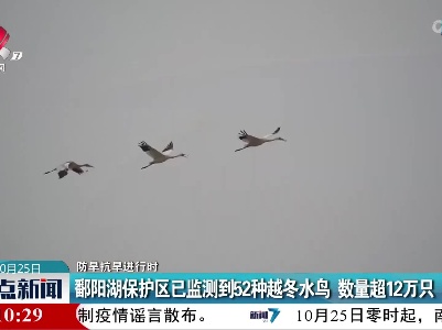 【防旱抗旱进行时】鄱阳湖保护区已监测到52种越冬水鸟 数量超12万只