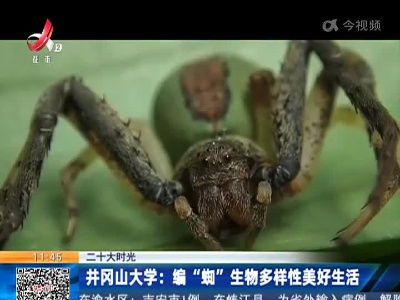 【二十大时光】井冈山大学：编“蜘”生物多样性美好生活