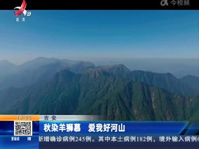 都市现场20221017