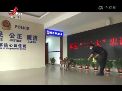 警犬卡斯 忠诚保平安