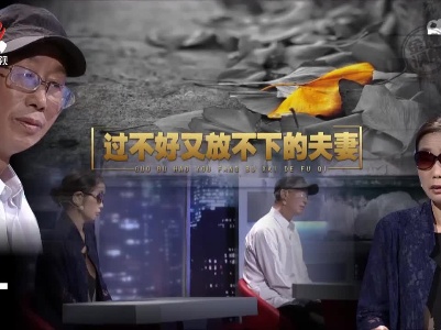 金牌调解20221004 过不好又放不下的夫妻