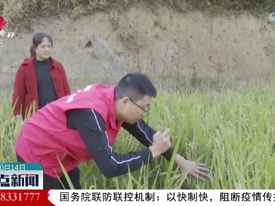 瑞昌：农业保险助力秋冬种