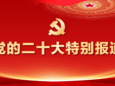 【地评线】江右时评：“党代表通道”激荡奋进中国最强音