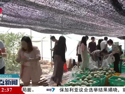 赣州：瓜果丰收季 游客采摘乐趣多