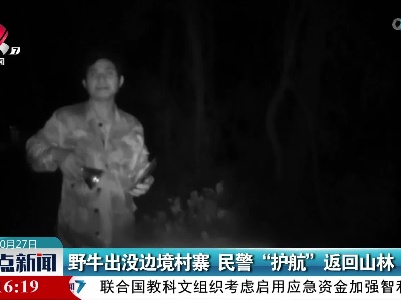 野牛出没边境村寨 民警“护航”返回山林