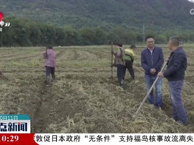 横峰：抢抓有利天气 播种油菜