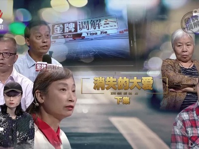 金牌调解20221021 消失的大爱（下）