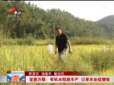 五哥帮忙团20221008