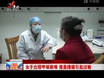 女子出现呼吸困难 竟是撸猫引起过敏