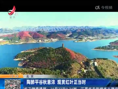 北京：陶醉平谷秋意浓 观赏红叶正当时