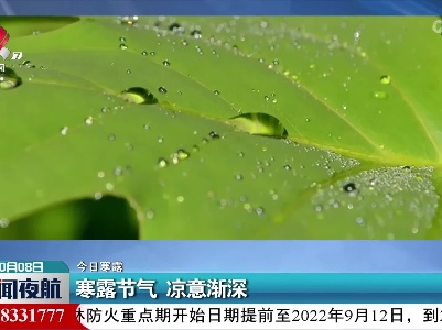 【今日寒露】寒露节气 凉意渐深