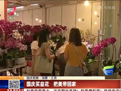 【国庆假期·消费】江西：国庆买盆花 把美带回家