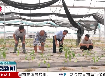 吉安：寒潮来袭 农业部门积极应对