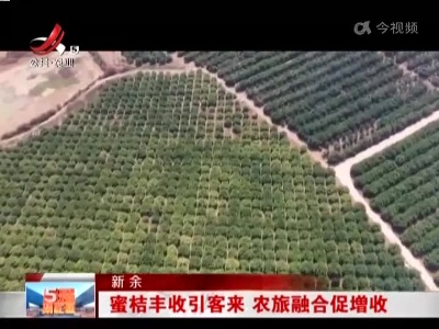 新余：蜜桔丰收引客来 农旅融合促增收