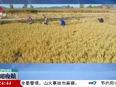 【今日寒露】田间地头 秋种农忙