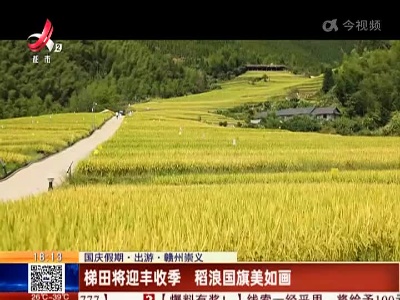 【国庆假期·出游·赣州崇义】梯田将迎丰收季 稻浪国旗美如画
