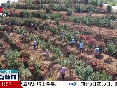 整点新闻20221006 14:00
