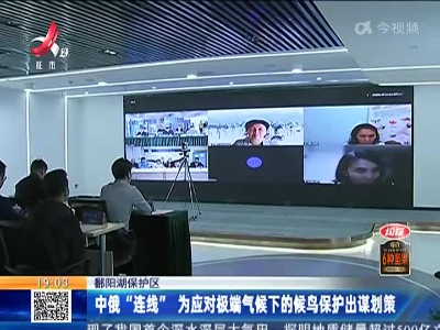 鄱阳湖保护区：中俄“连线” 为应对极端气候下的候鸟保护出谋划策