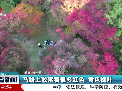 庐山植物园：秋色斑斓百色园