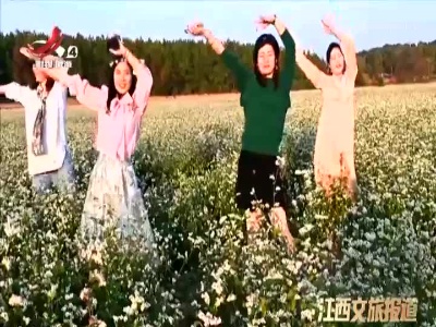 上饶万年：荞麦花开白雪香