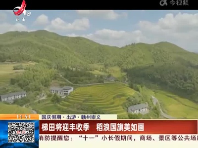 【国庆假期·出游·赣州崇义】梯田将迎丰收季 稻浪国旗美如画