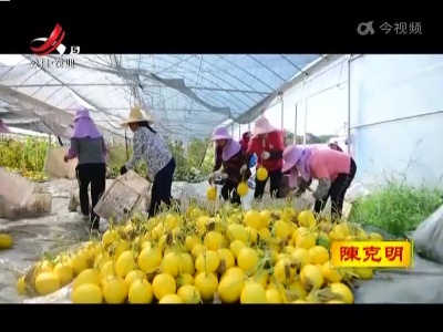 会昌：“甜蜜产业” 助力乡村振兴