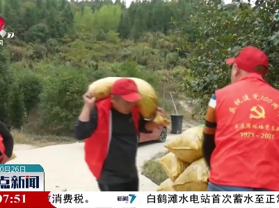 【乡村振兴进行时】浮梁县早马湾林场：这里有种“致富果”