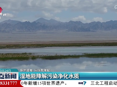 【保护湿地 从你我做起】湿地能降解污染净化水质