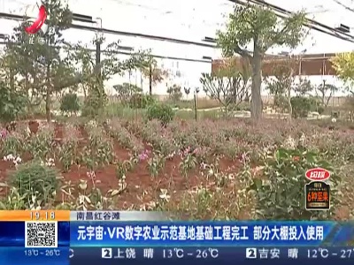 南昌红谷滩：元宇宙·VR数字农业示范基地基础工程完工 部分大棚投入使用